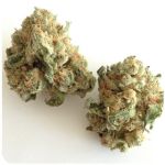 Шишки "White Widow"  (Белая вдова)  Гидропоника -  Бошка VHQ в Апатитах